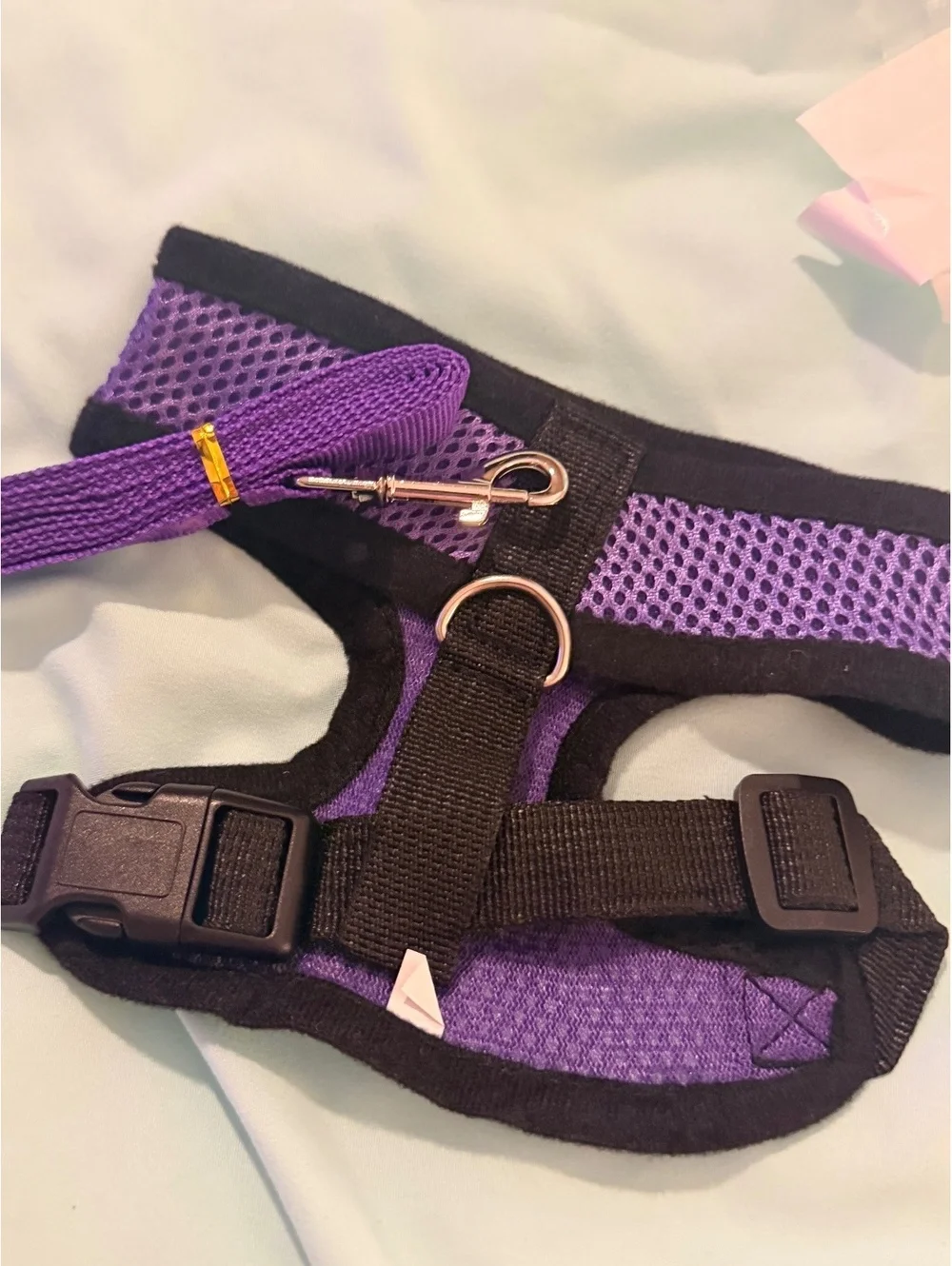 Adjustable Mesh Dog Harness with Leash Set - Purple and Blue